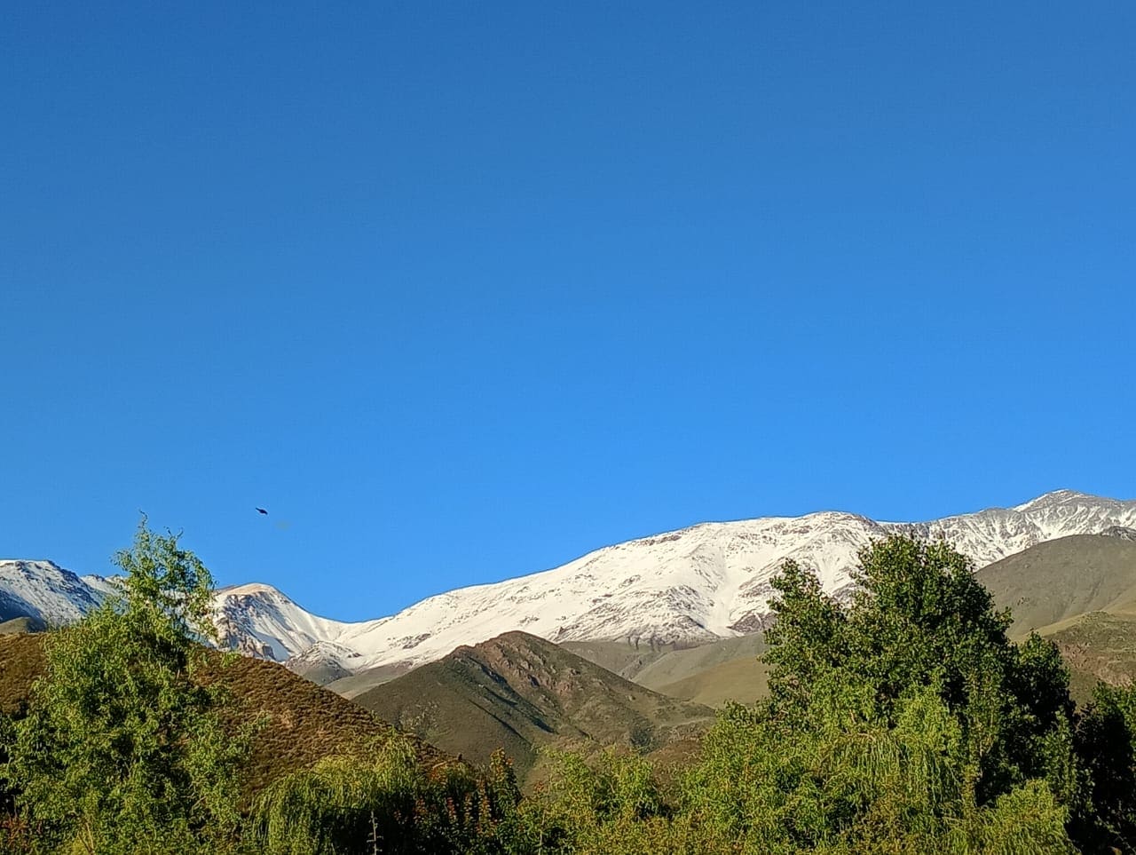 Casa, hermosa vista, montañas, jardín, oportunidad, inversión 