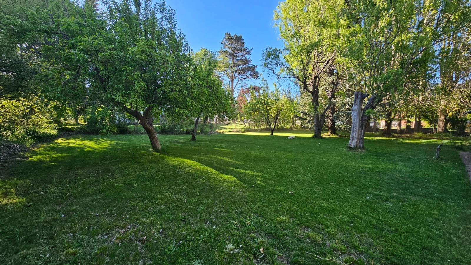 Casa. El Salto. Potrerillos. inmobiliaria. jardín. inversión 