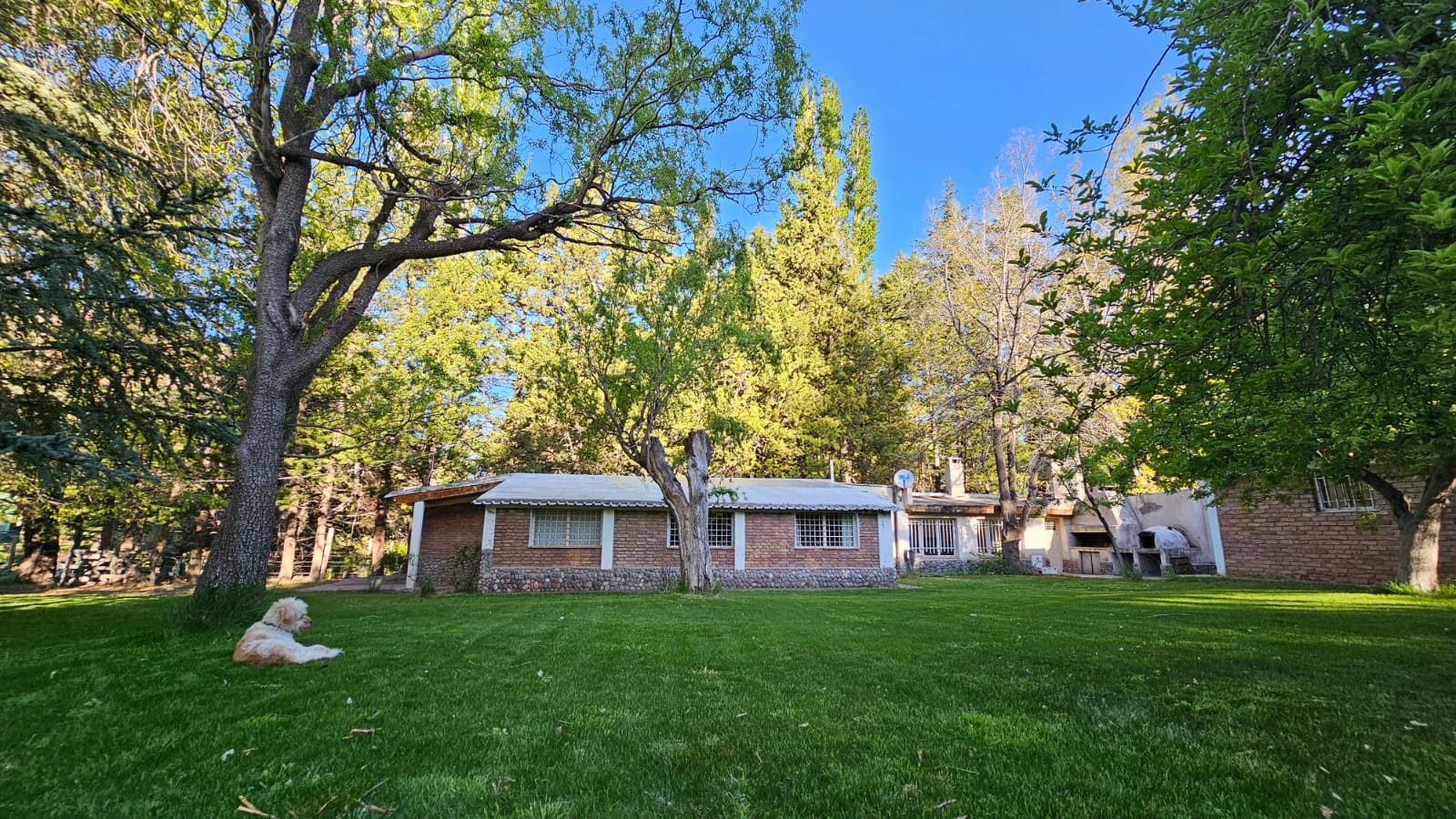 Casa. El Salto. Potrerillos. inmobiliaria. jardín. inversión 