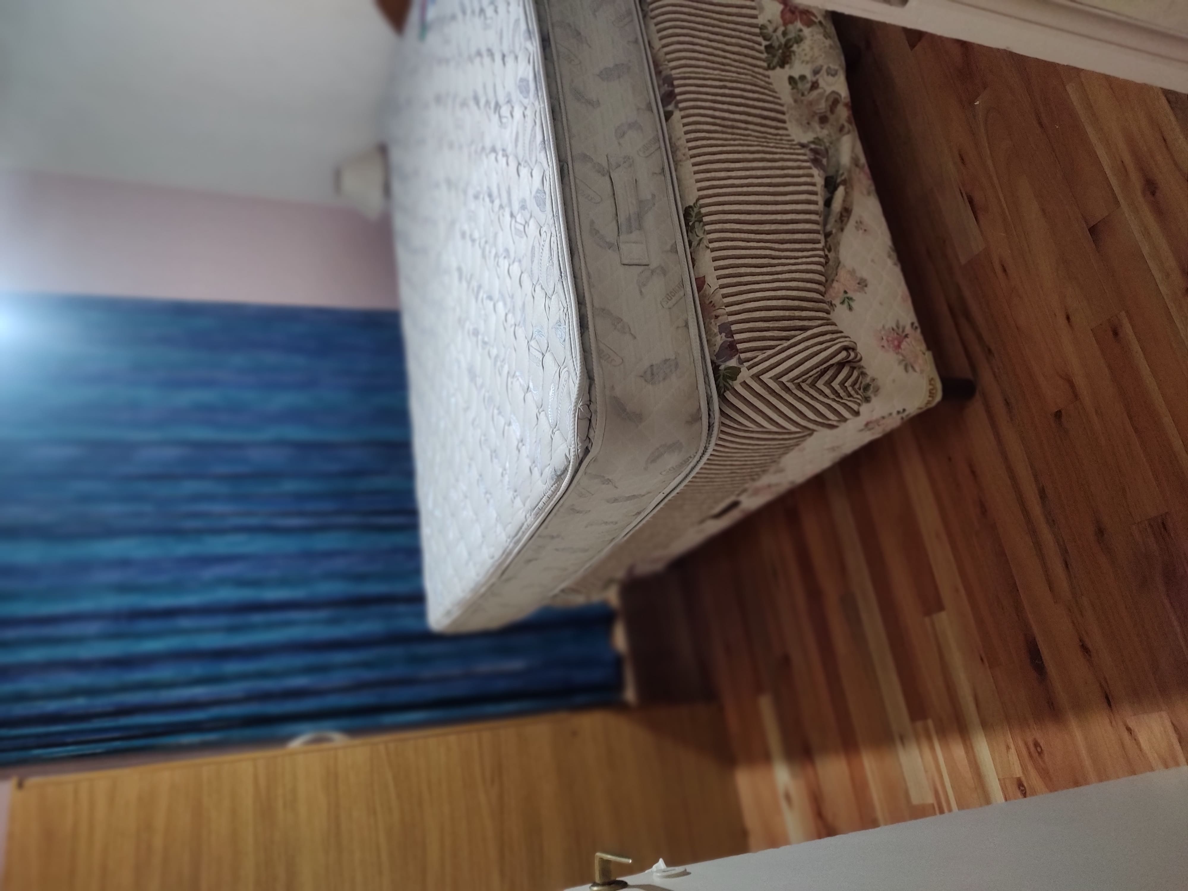 casa, terreno, lote, amplio, jardín, hermosa, tranquila