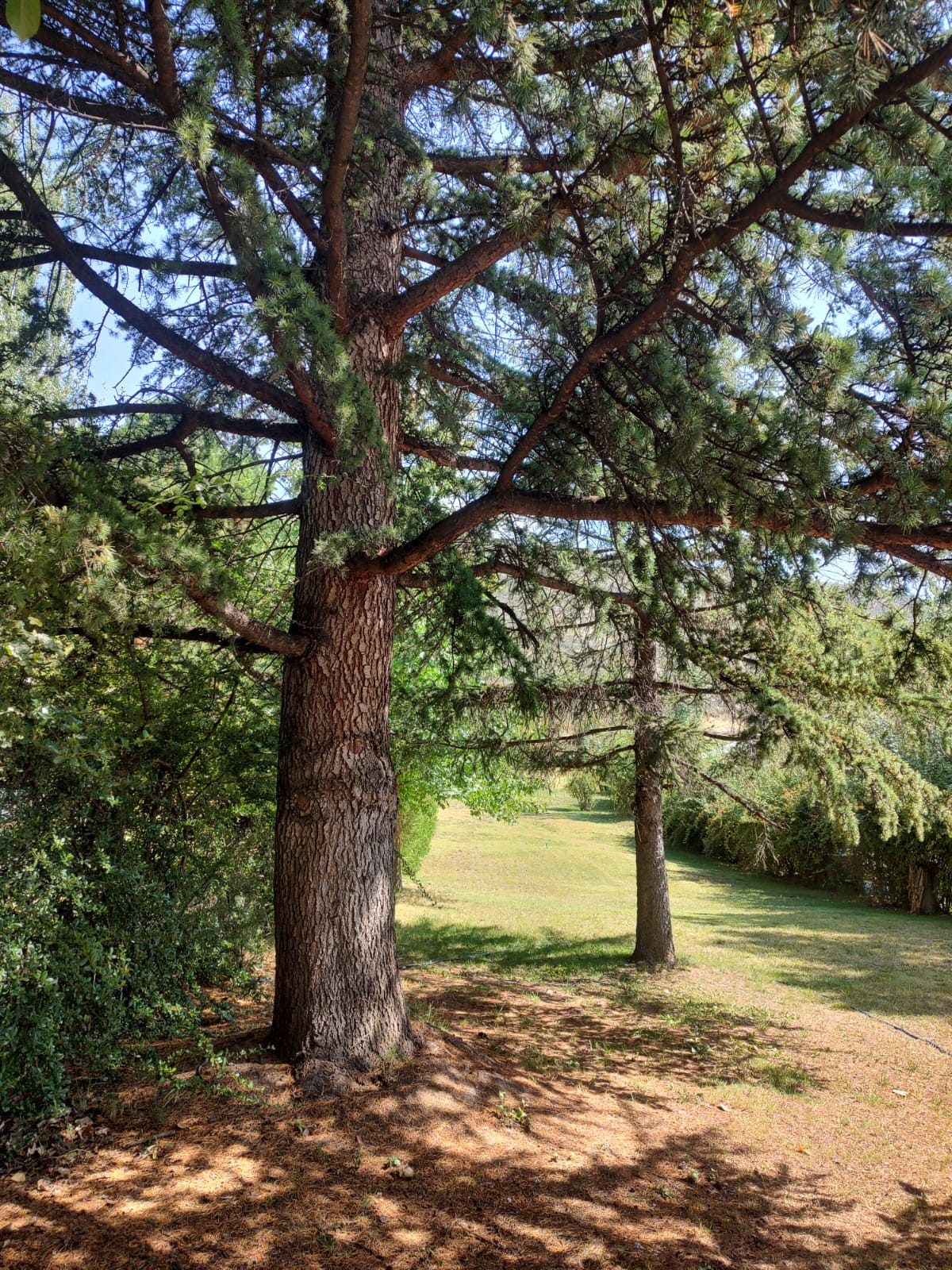 casa, las vegas, potrerillos, jardín, oportunidad, inmobiliaria