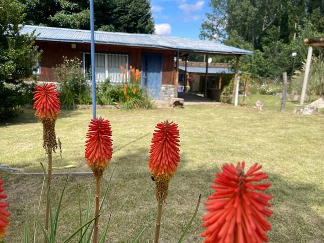 Casa, Las vegas, jardin, parque, inmobiliaria, venta, precio, oportunidad