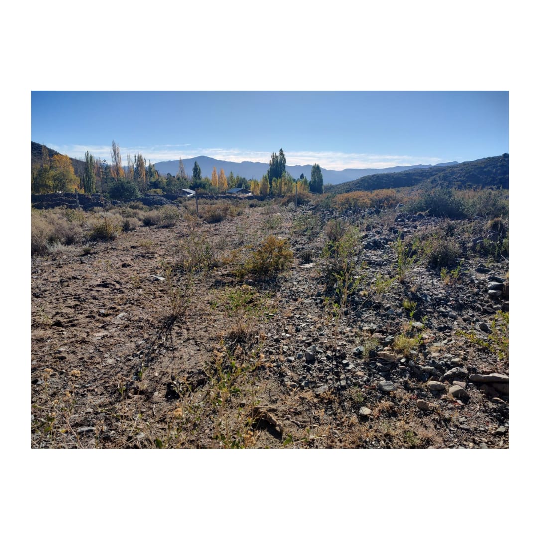 Lote, terreno, montaña, cordillera