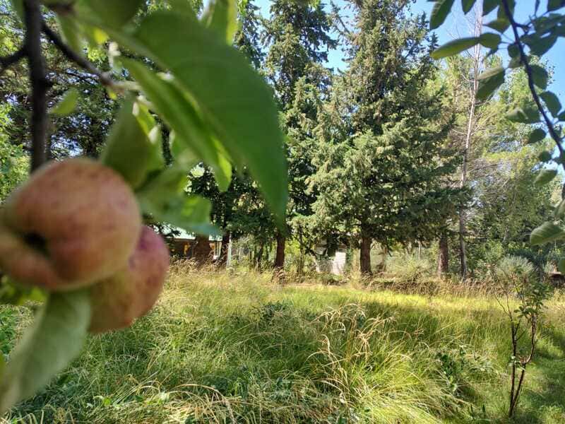 Terreno, lote, carditas, potrerillos, inmobiliaria, oportunidad, vegetación, inversión 