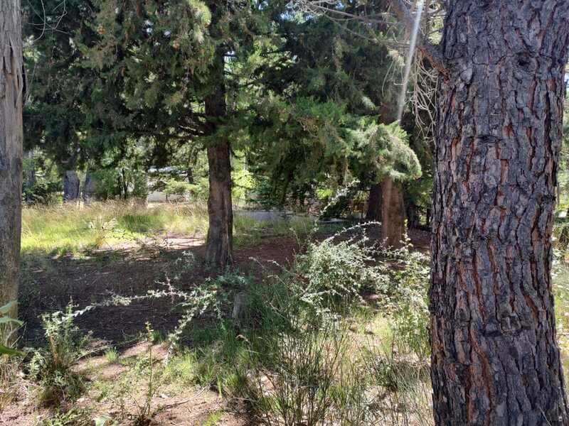 Terreno, lote, carditas, potrerillos, inmobiliaria, oportunidad, vegetación, inversión 