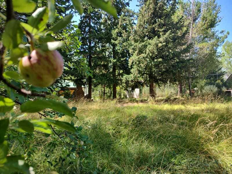 Terreno, lote, carditas, potrerillos, inmobiliaria, oportunidad, vegetación, inversión 