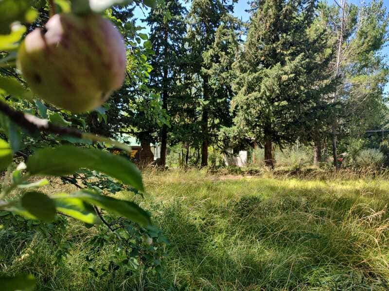 Terreno, lote, carditas, potrerillos, inmobiliaria, oportunidad, vegetación, inversión 